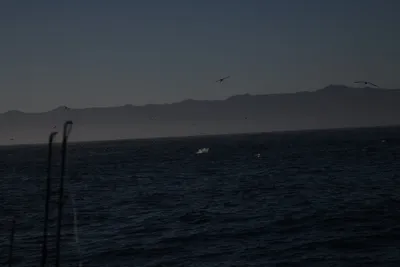 DSC_6647 (Large).JPG